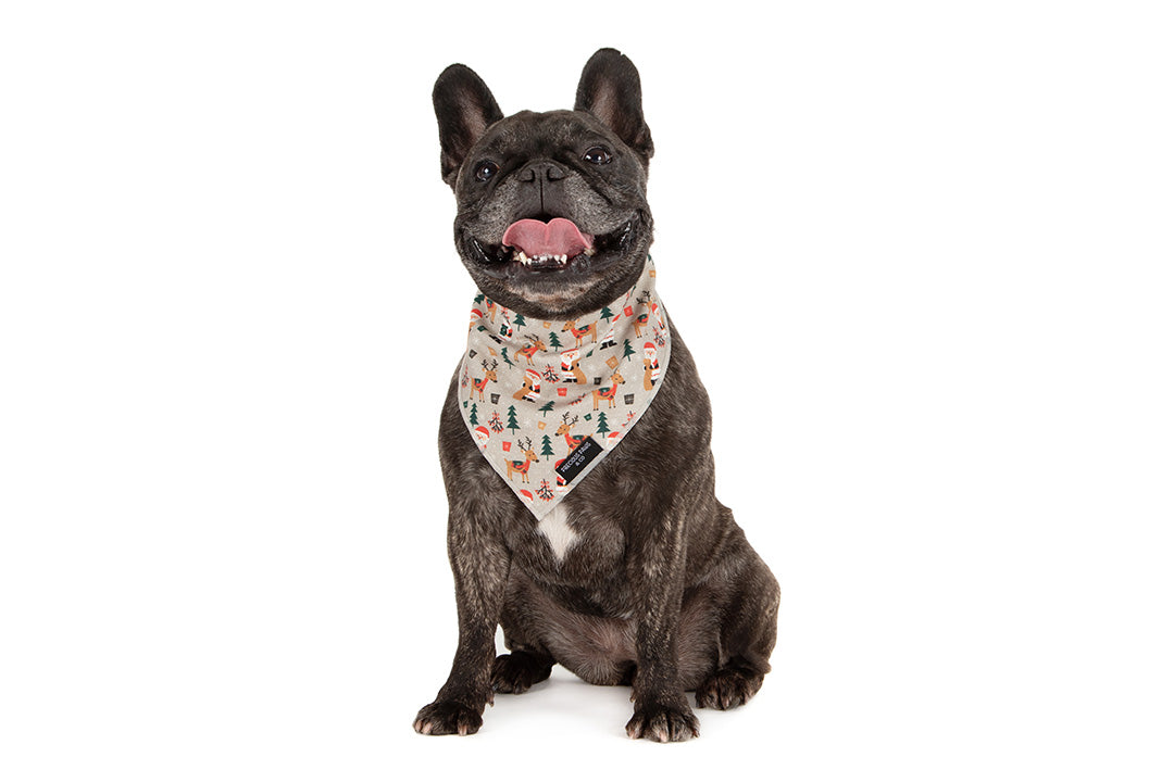 Dog Bandana: Santa Claws