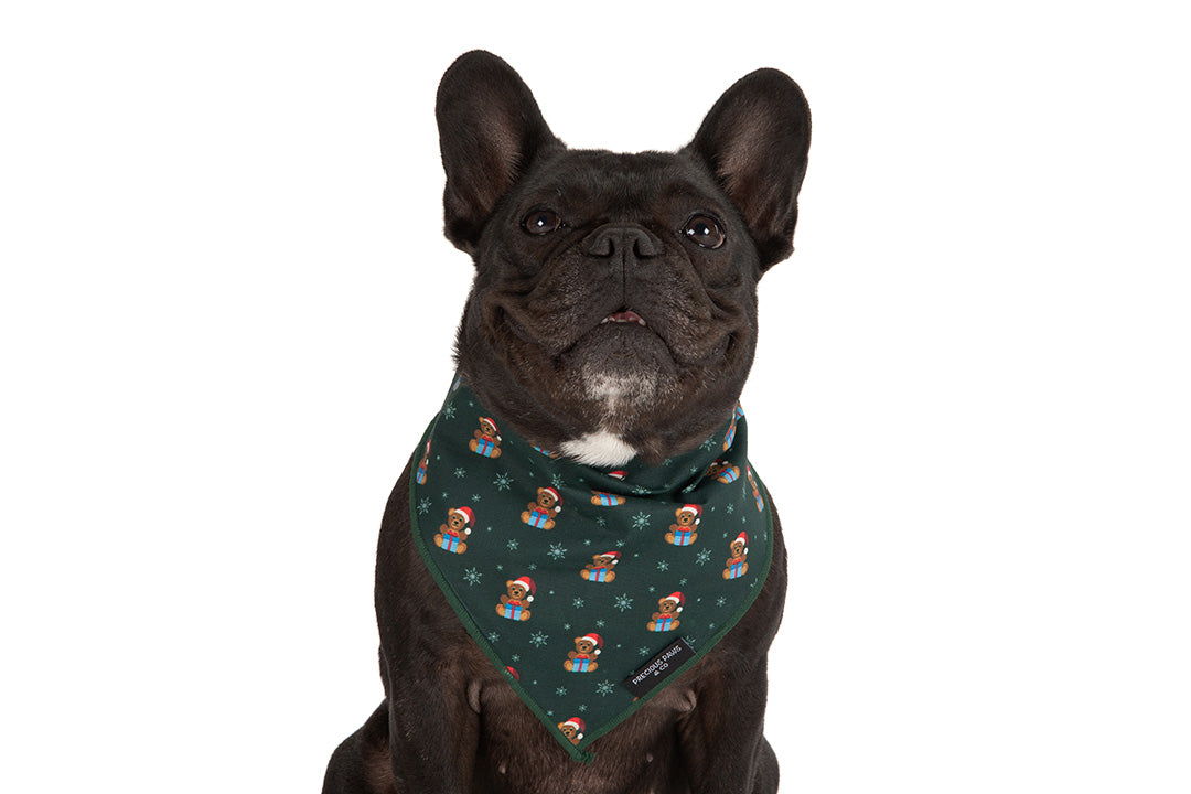 Dog Bandana: Beary Christmas