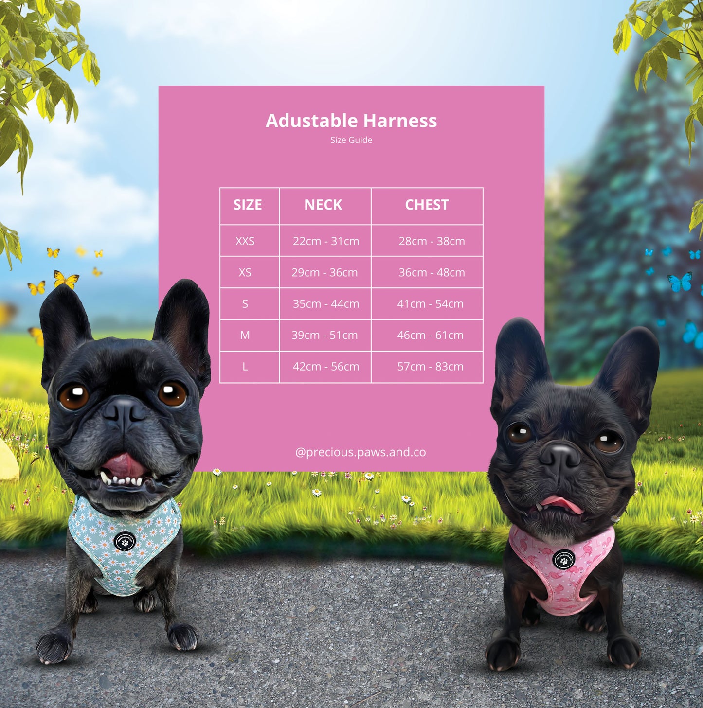 Dog Harness + Lead Set: Dino-Mite
