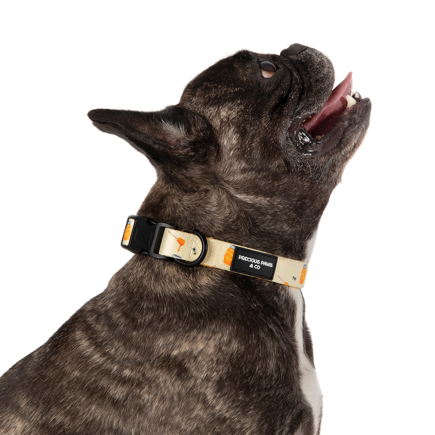 Dog Collar: Bee my Honey