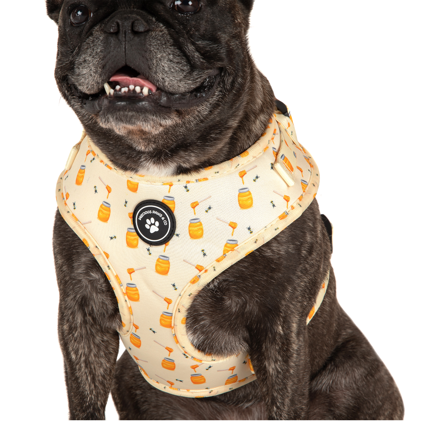 Dog Harness + Lead Set: Bee my Honey
