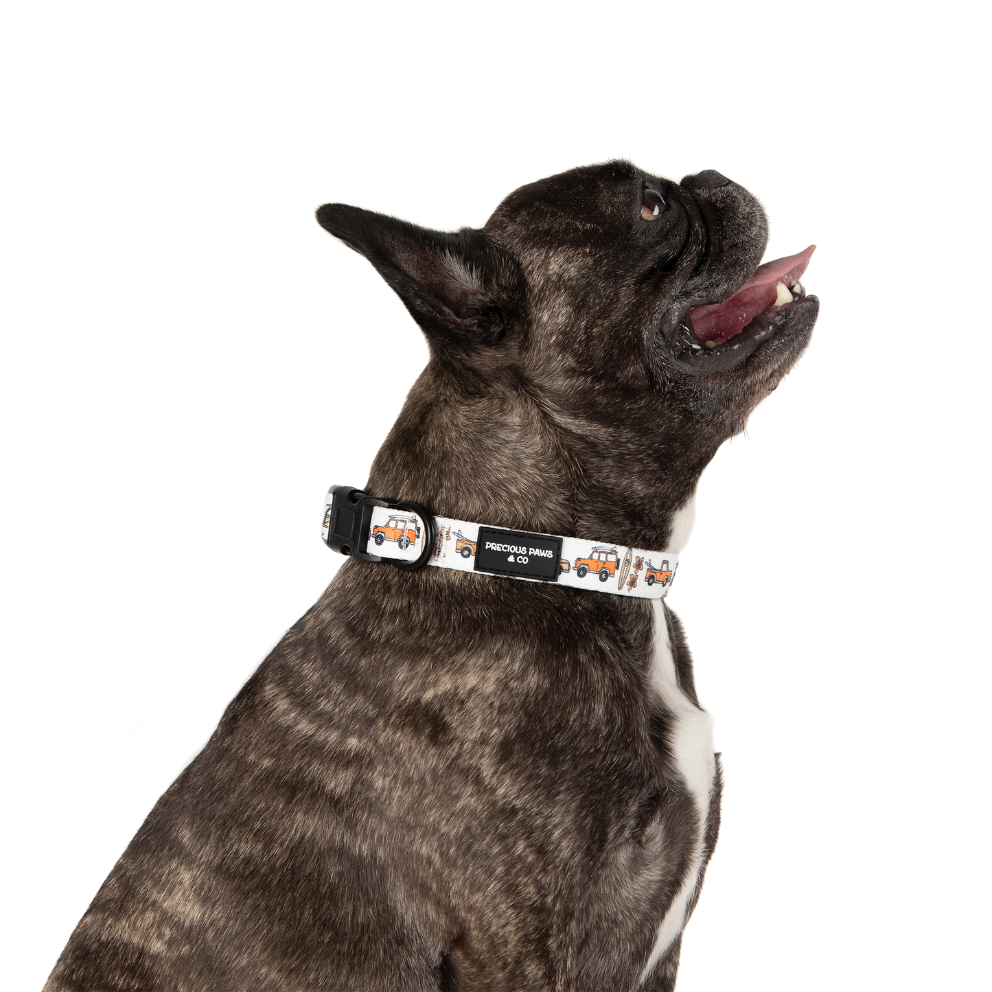 Dog Collar: Ride the Waves