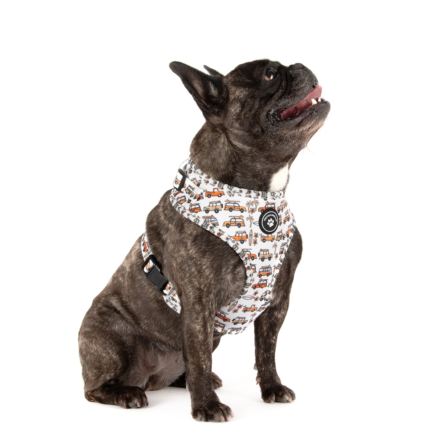 Dog Harness + Lead Set: Ride the Waves