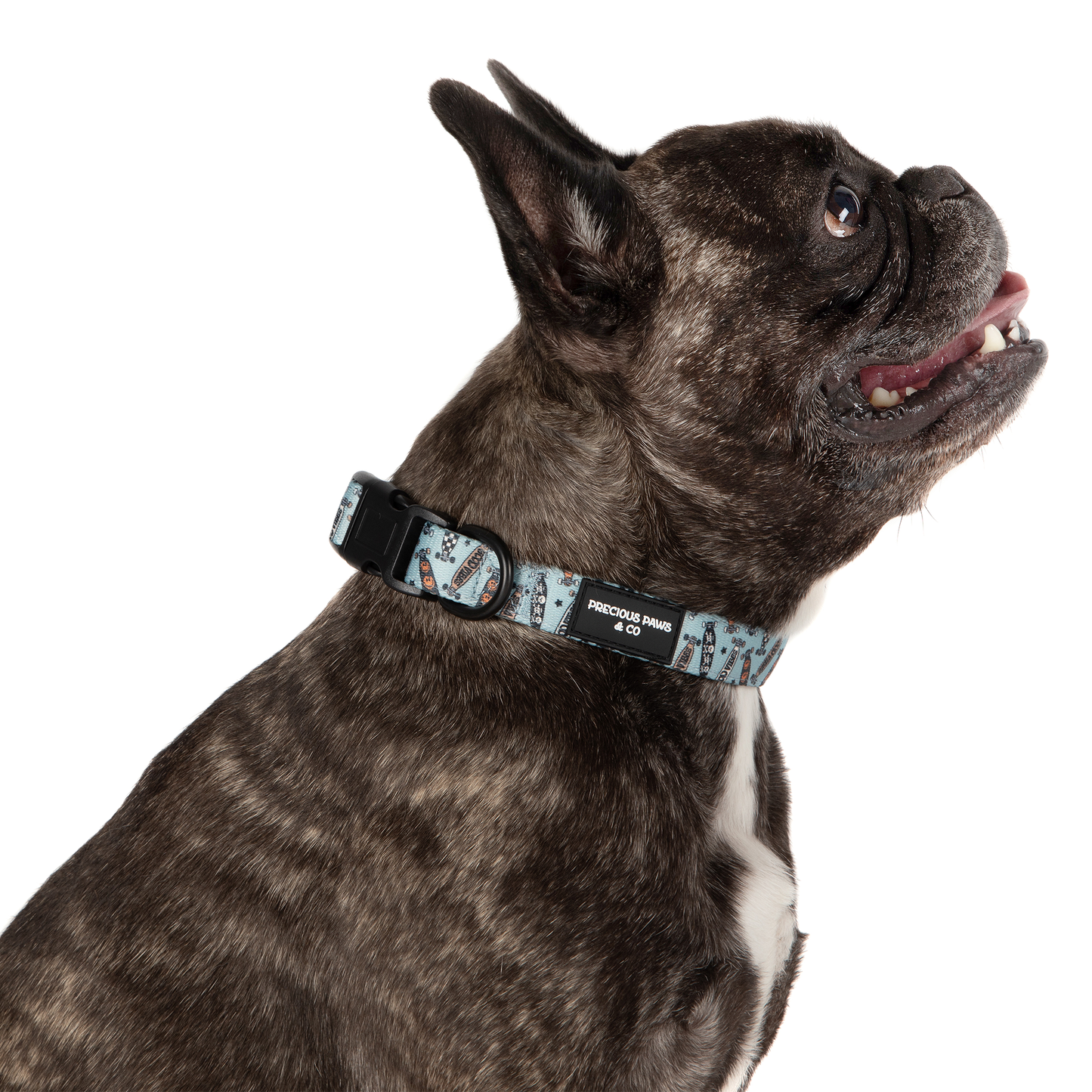 Dog Collar: Skater Vibes