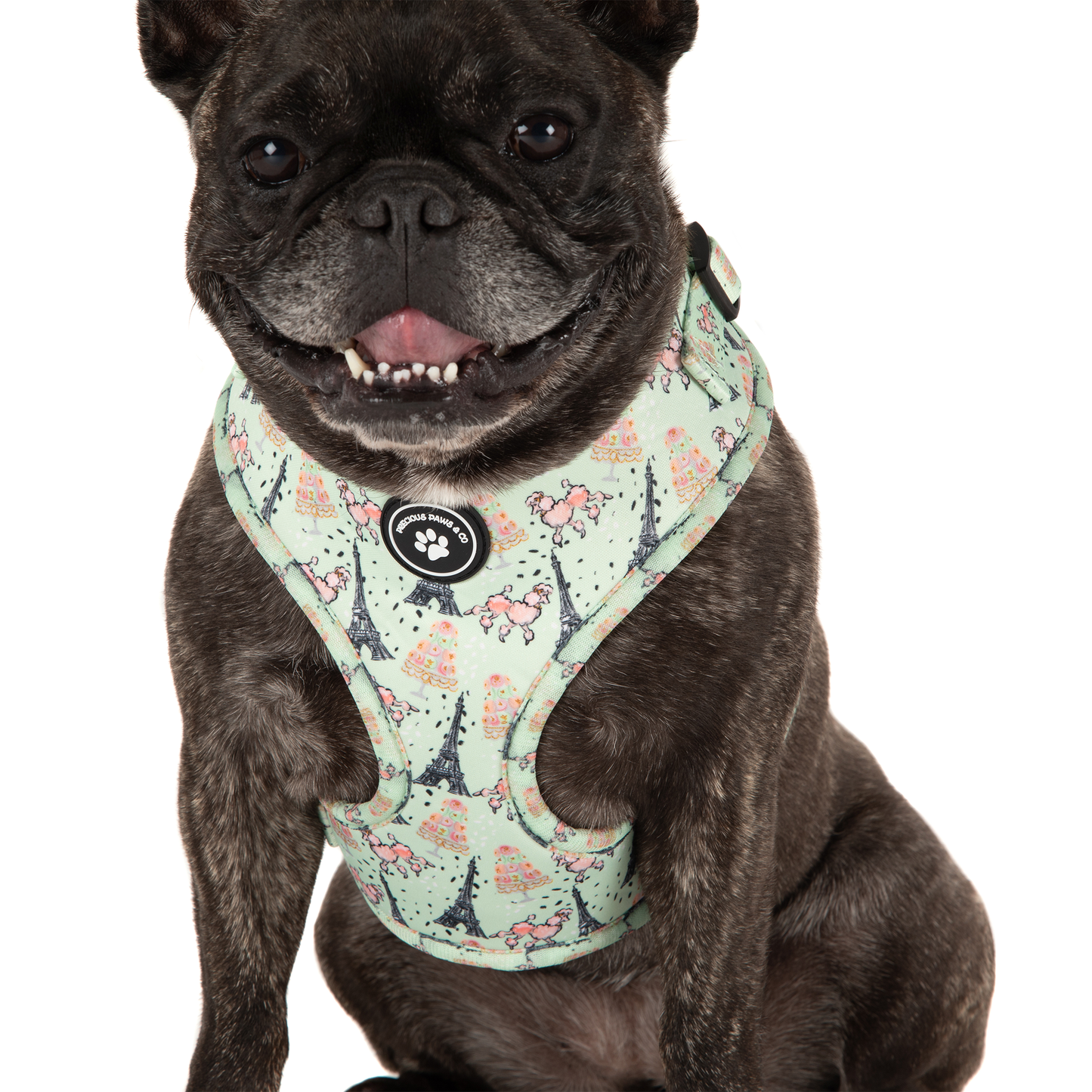 Dog Harness + Lead Set: Paws in Paris
