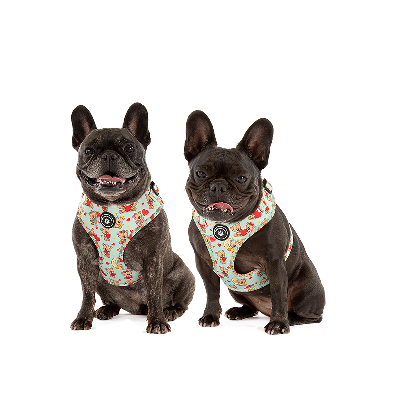 Dog Harness + Lead Set: I Love You Beary Much