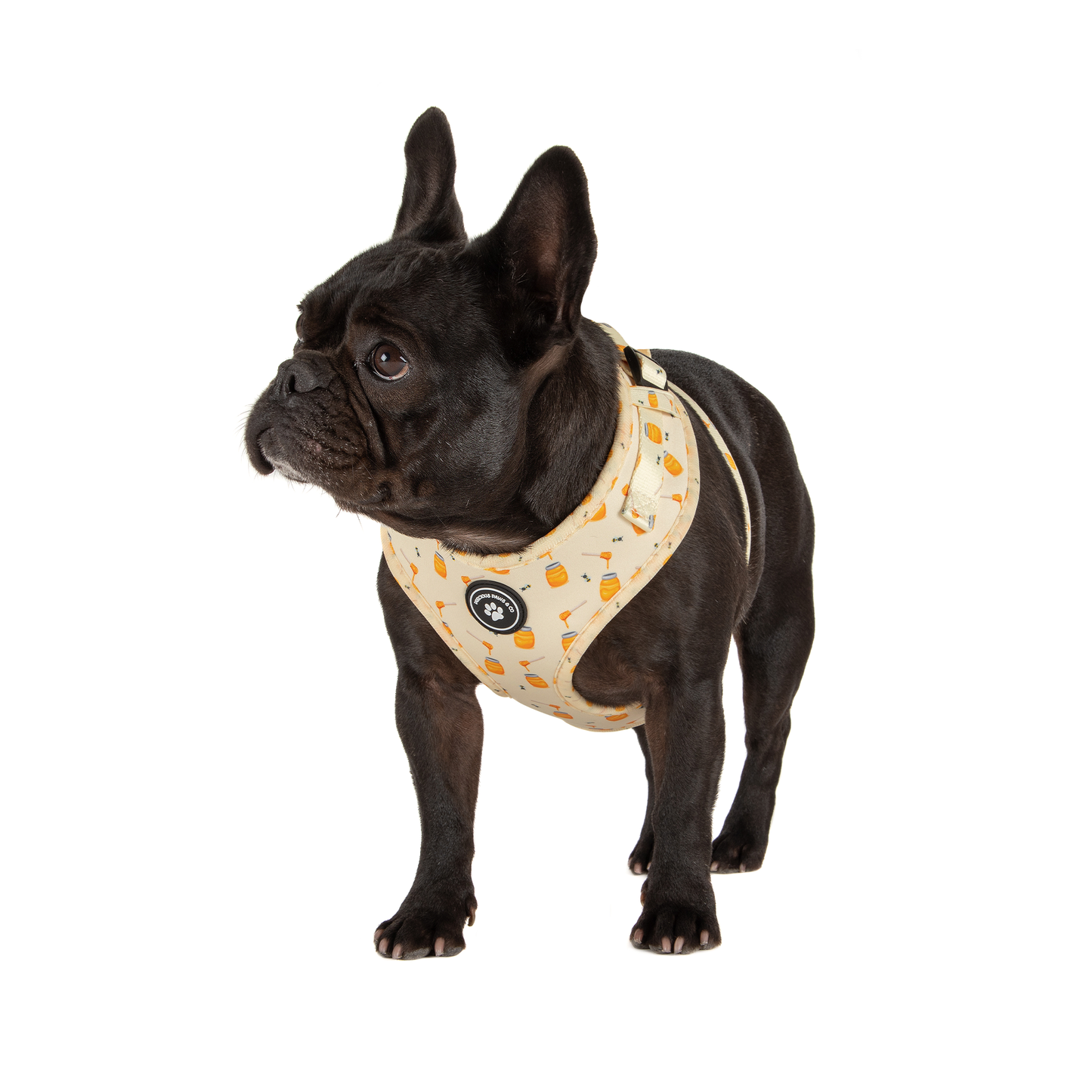 Dog Harness + Lead Set: Bee my Honey
