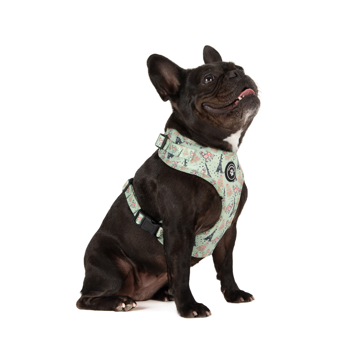 Dog Harness + Lead Set: Paws in Paris