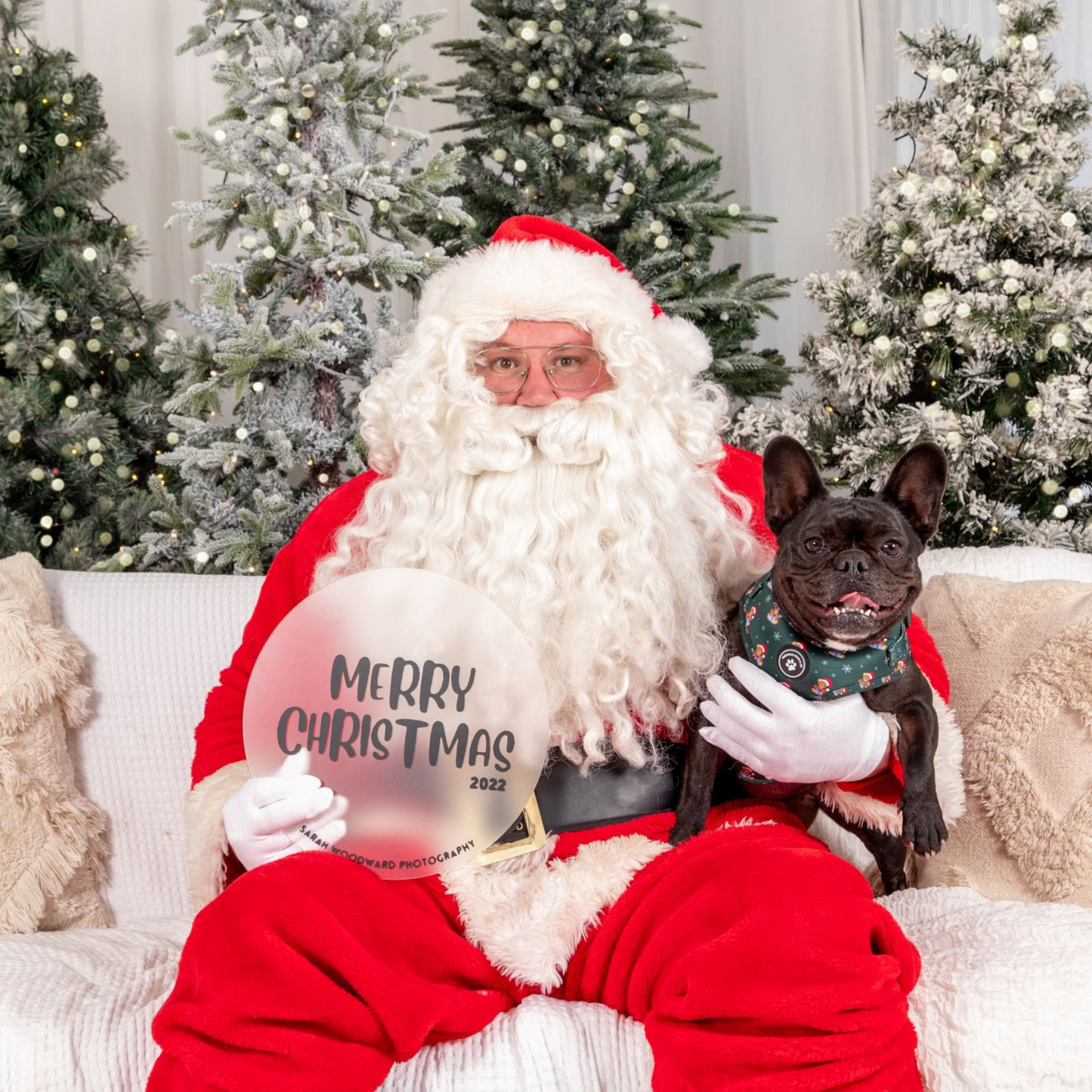 Dog Harness: Beary Christmas