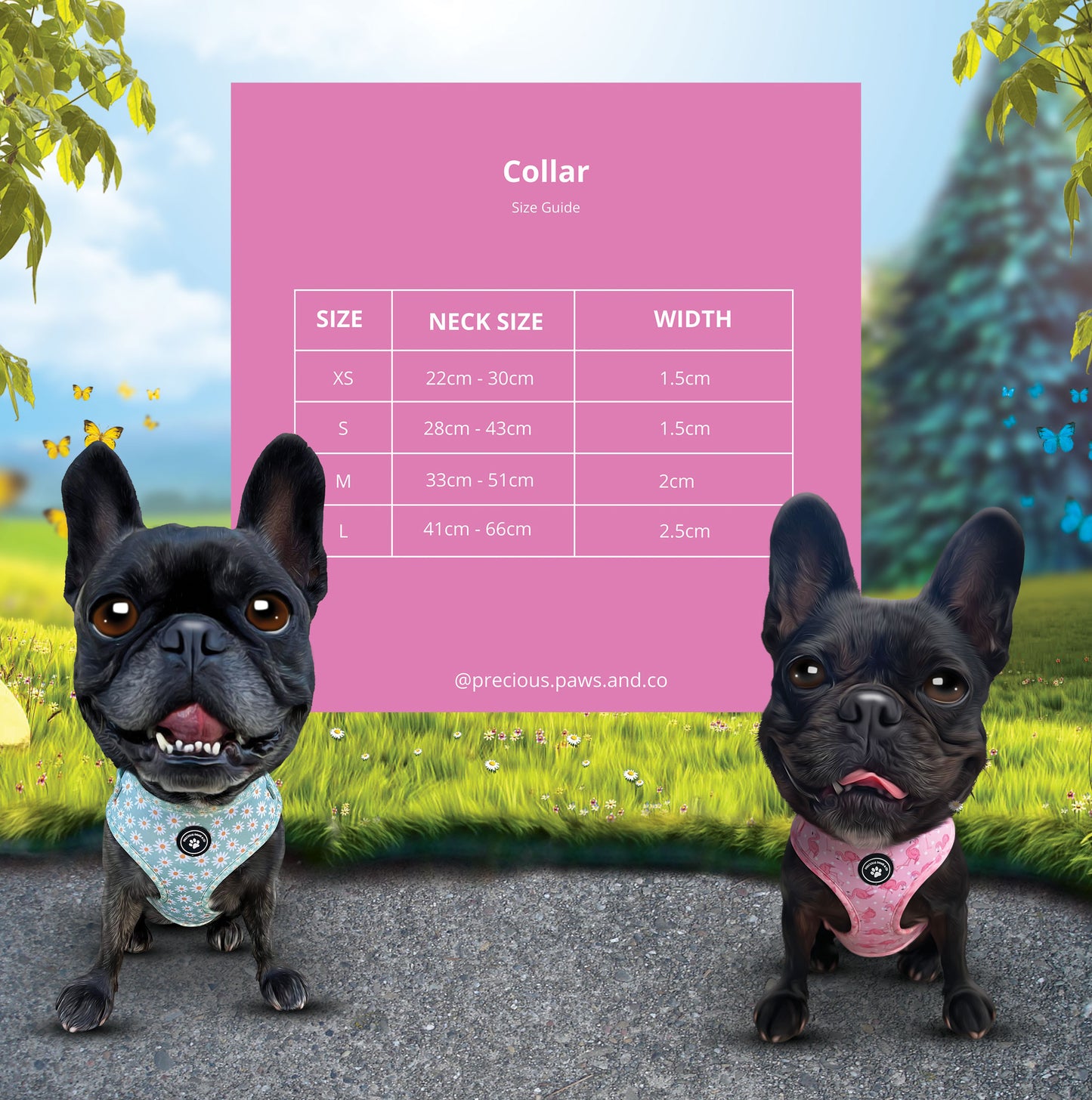 Dog Collar: Skater Vibes