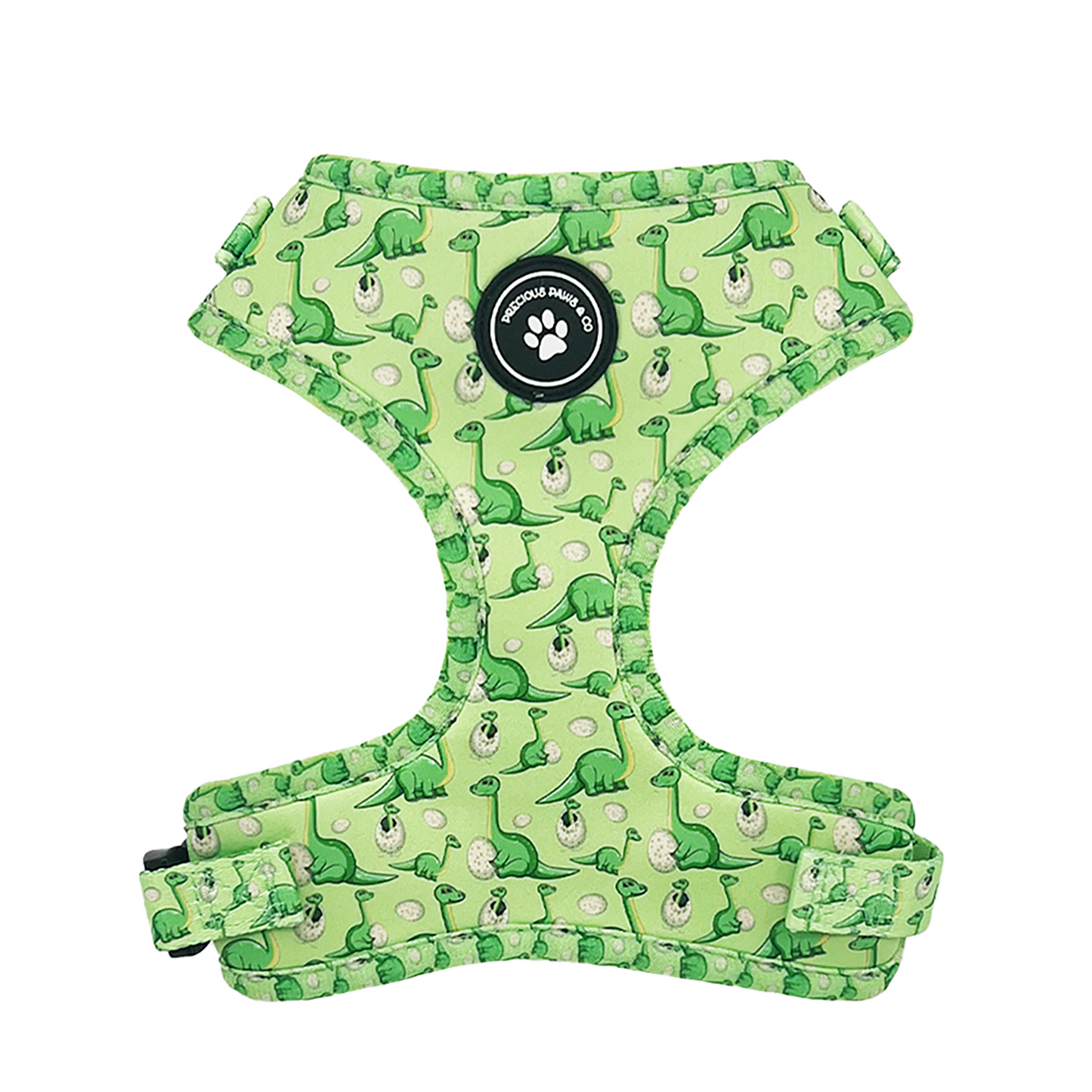 Dog Harness + Lead Set: Dino-Mite