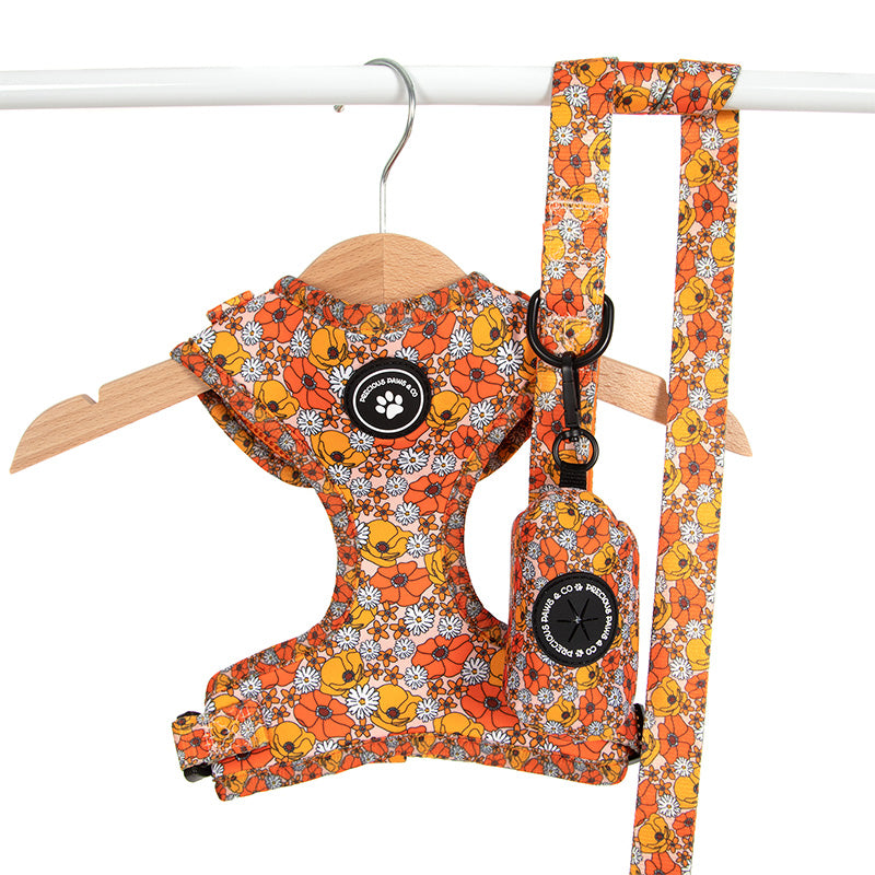 dog harness and lead set with orange flowers