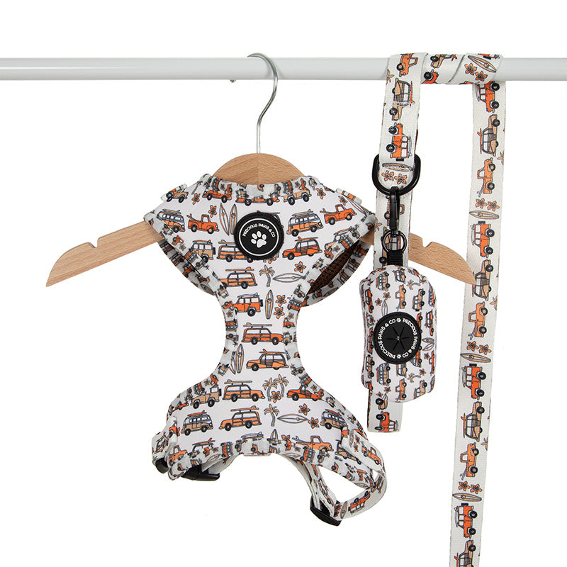 dog harness set with orange vans