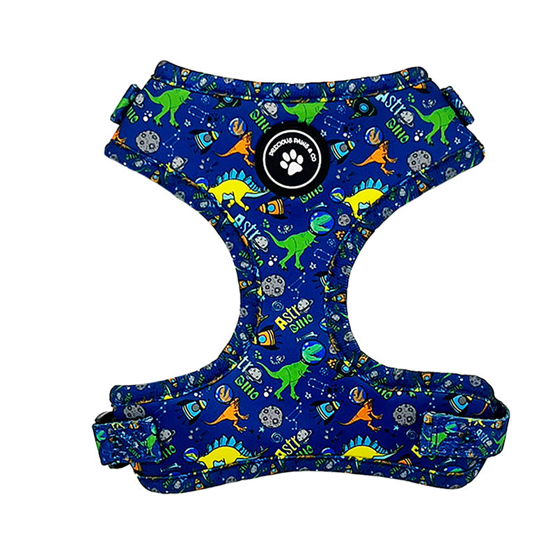 dog harness with colourful dinosaurs