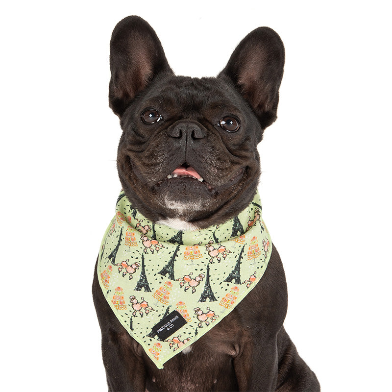 dog in dog bandana with eiffel towers