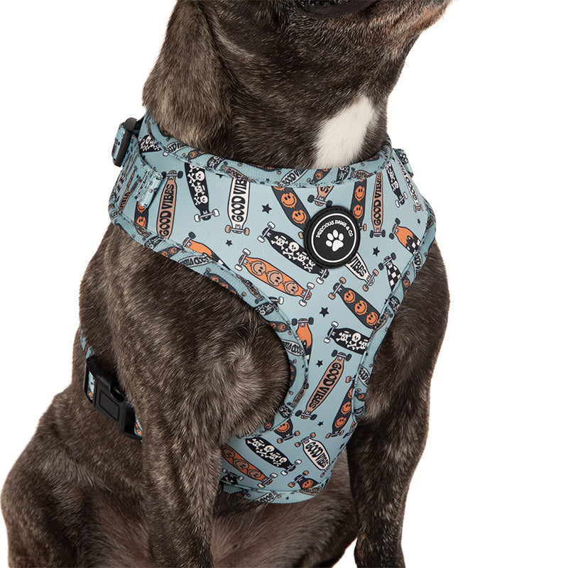 dog wearing blue dog harness with skateboards