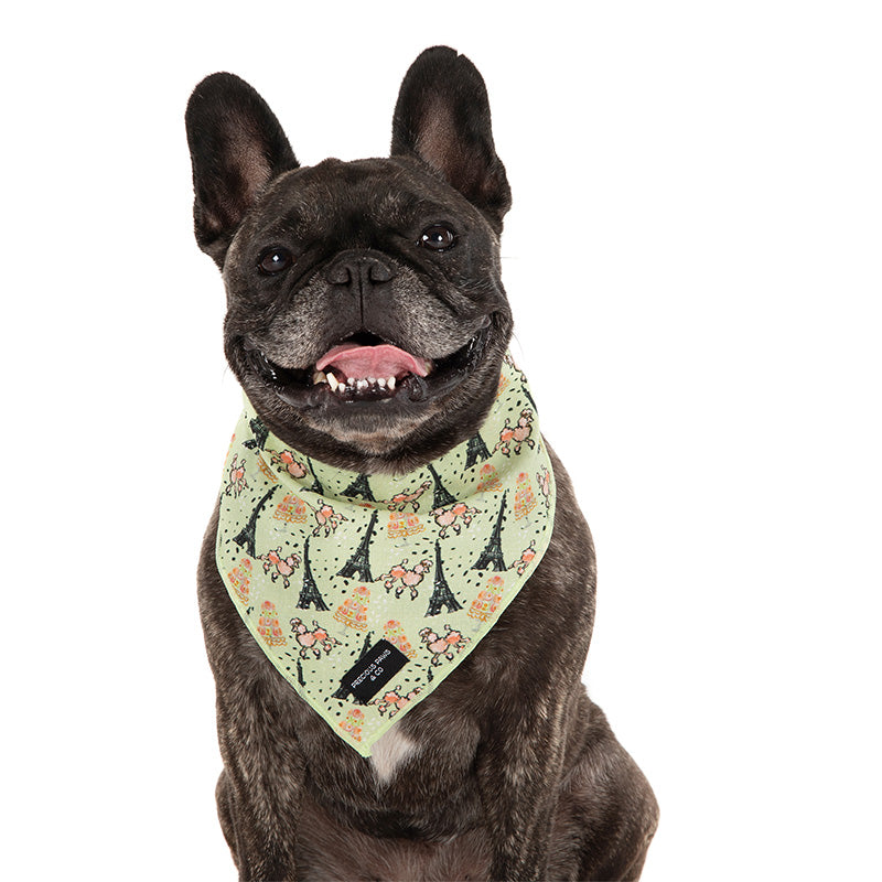 dog wearing dog bandana with eiffel towers