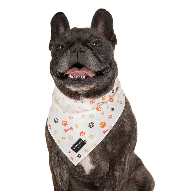 dog wearing dog bandana with paw prints