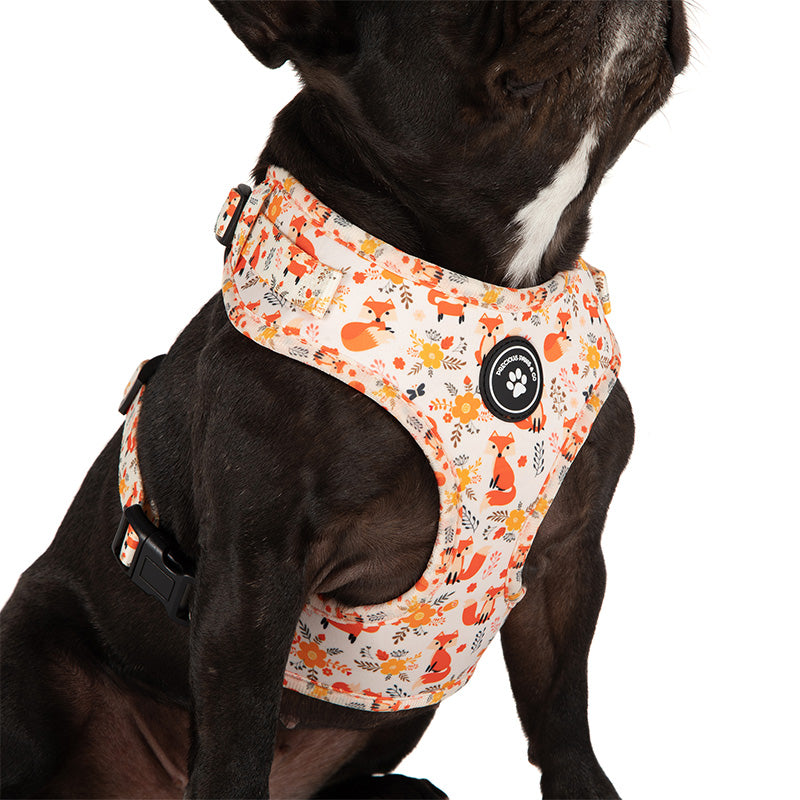 dog wearing dog harness with foxes