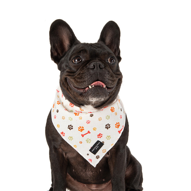 dog wearing paw prints dog bandana