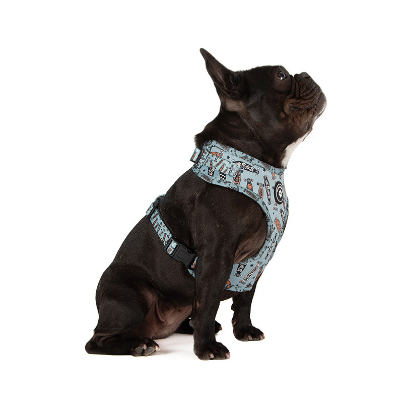 dog wearing skateboard dog harness