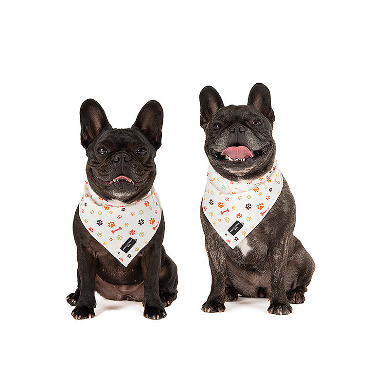 dogs wearing dog bandanas with paw prints