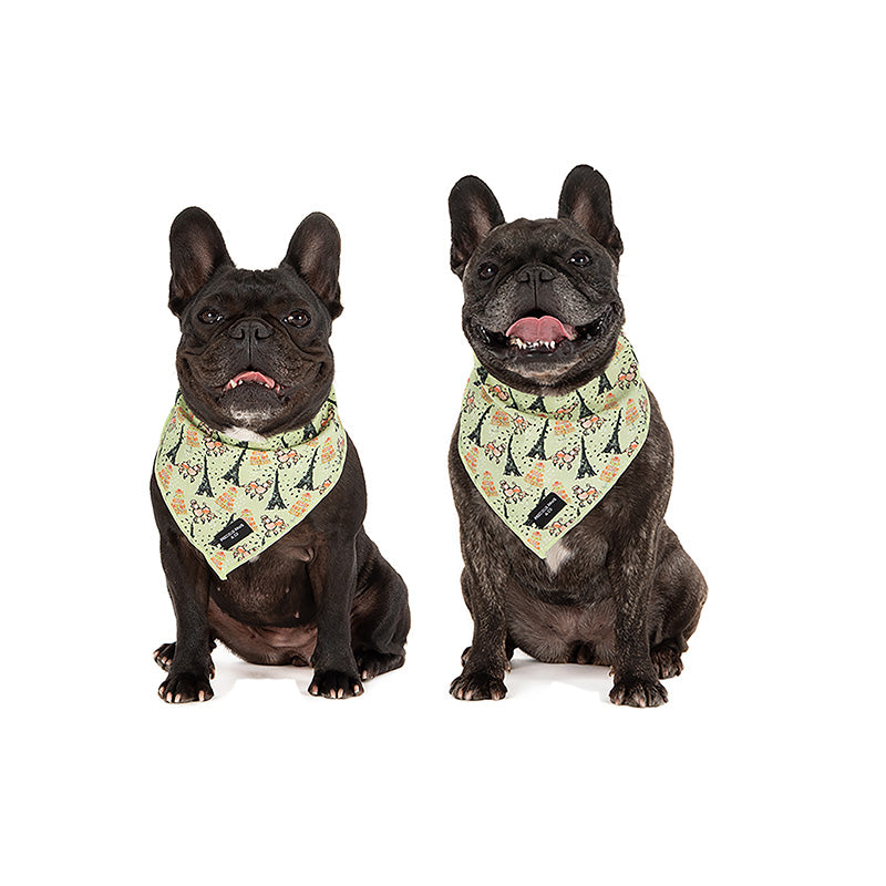 dogs wearing eiffel tower bandanas
