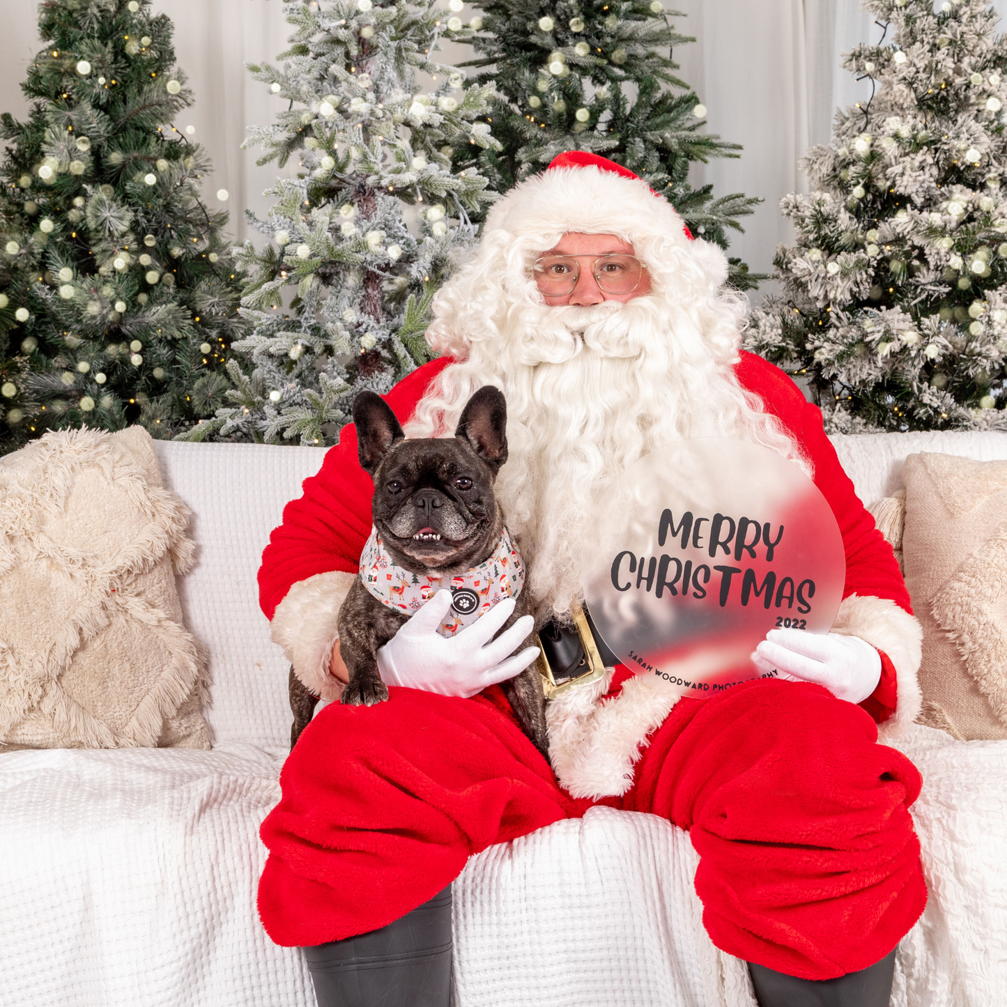 Dog Harness: Santa Claws