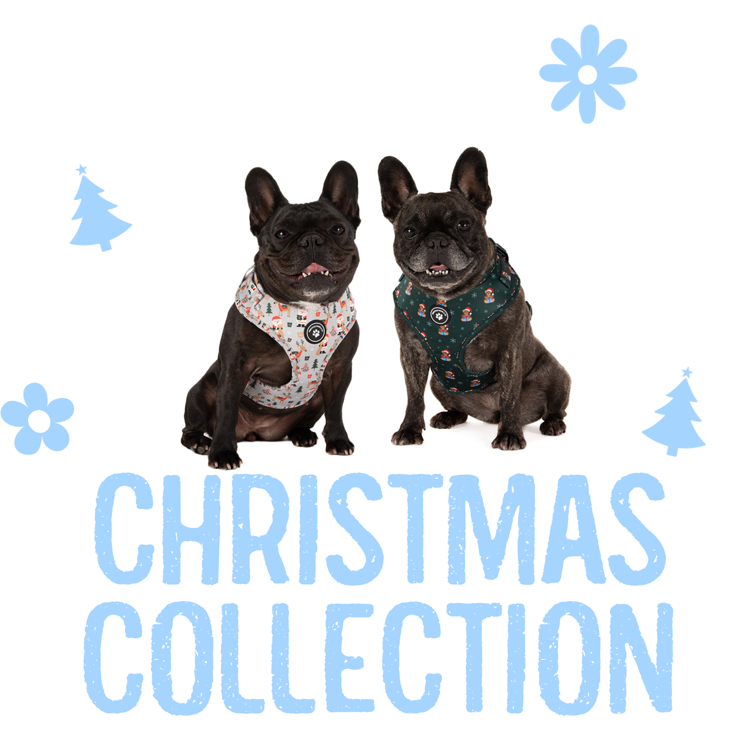 Ho-Ho-Hold On Tight A Guide to Christmas-Themed Dog Harnesses