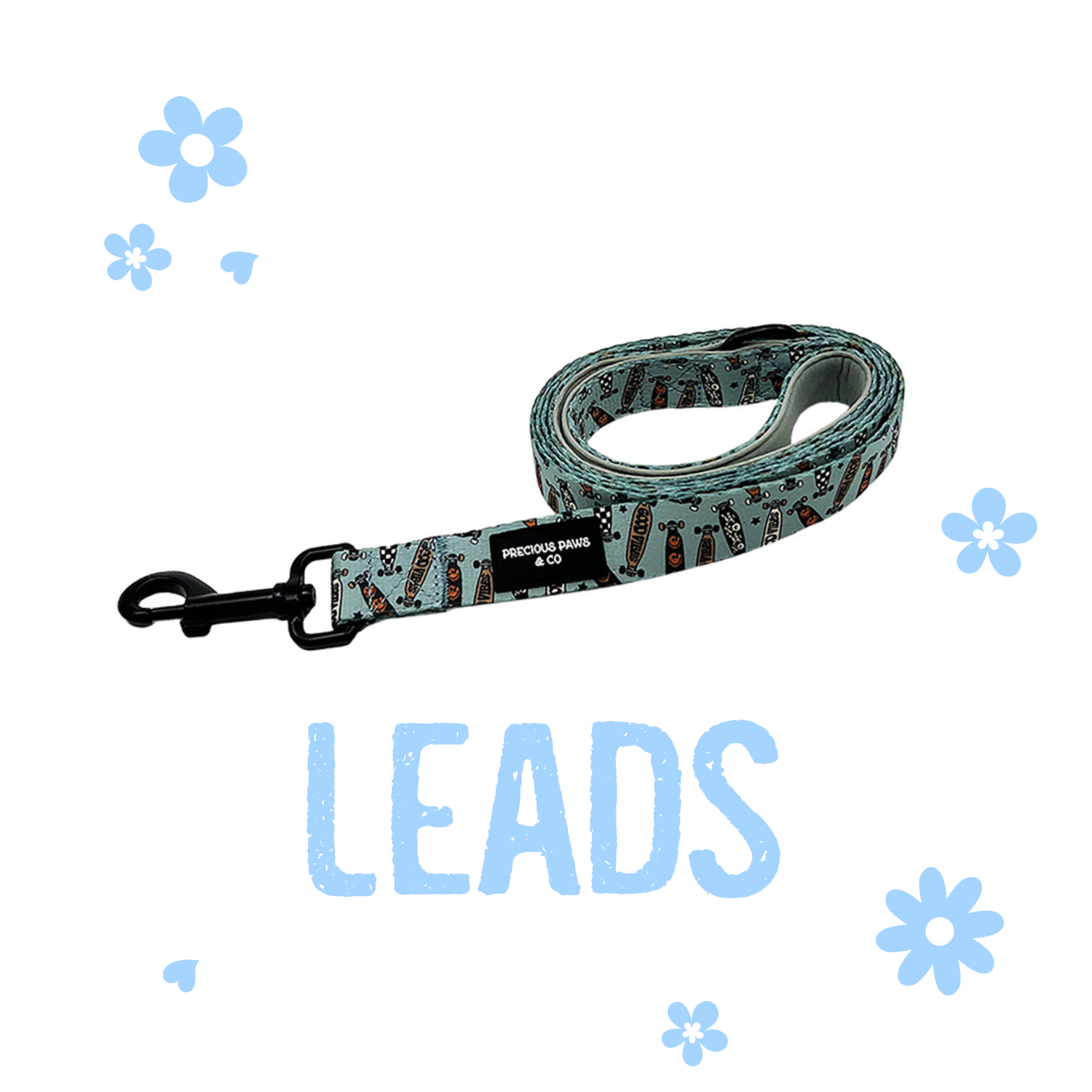 Dog Leads