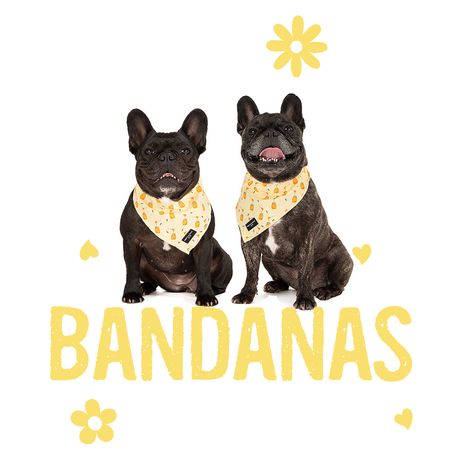 Dog Bandanas