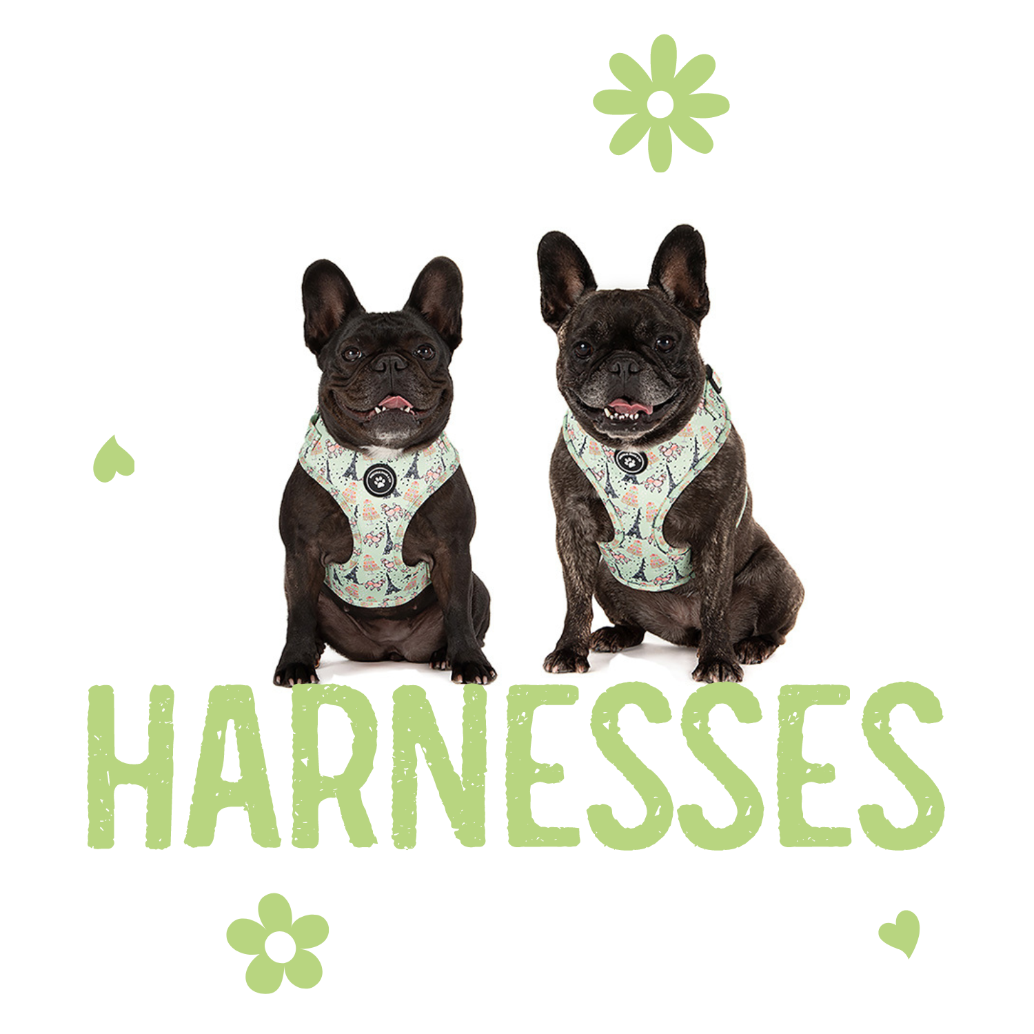 Dog Harnesses