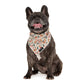 Dog Bandana: Santa Claws