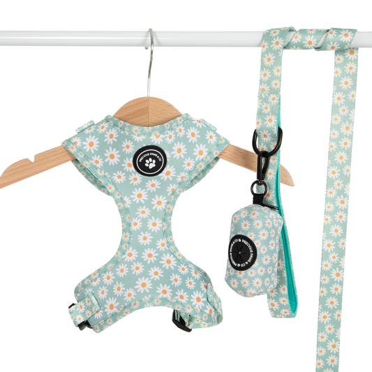 Dog Harness + Lead Set: Cover me in Daisies