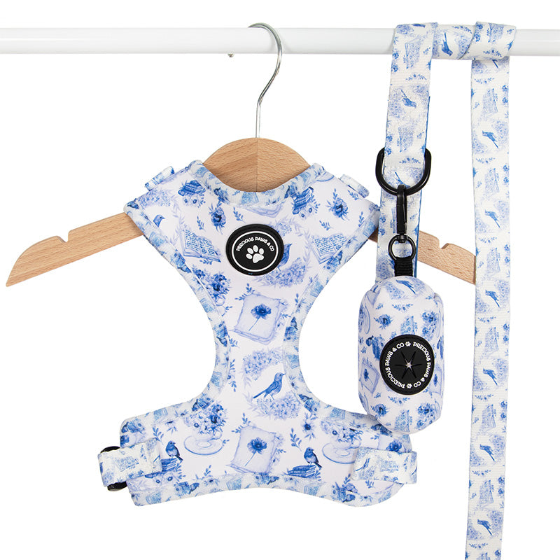 bluebird dog harness set