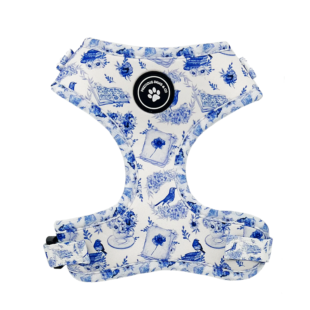 Dog Harness + Lead Set: Harbinger of Happiness