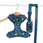 dog harness and lead set in space with dinosaurs