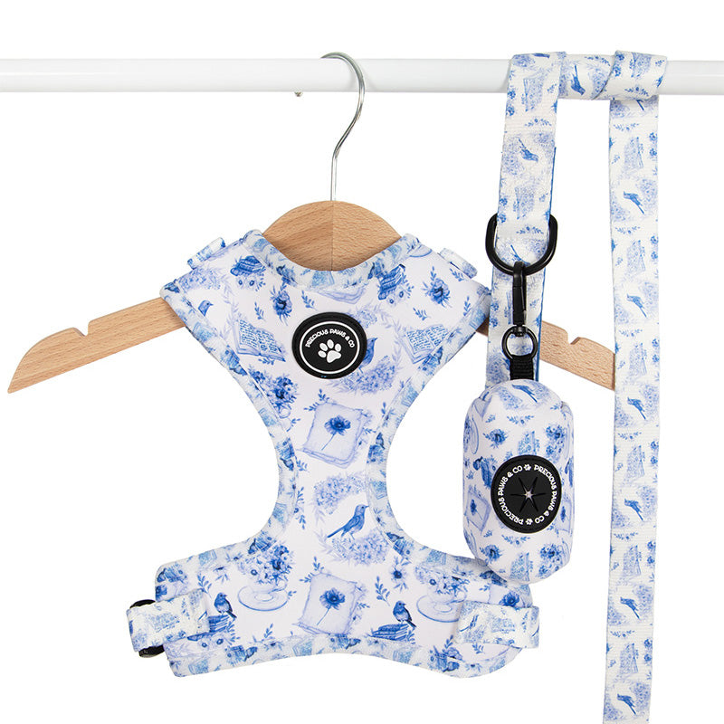 Dog Harness + Lead Set: Harbinger of Happiness