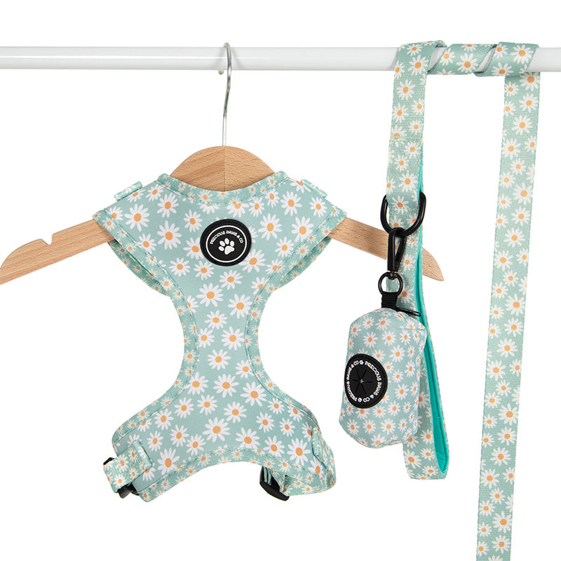 dog harness and lead set with daisies