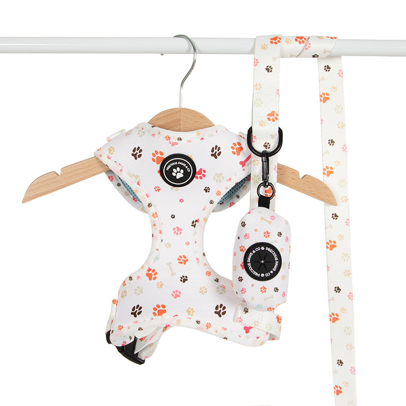 dog harness and lead set with paw prints