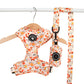 dog harness set with orange foxes