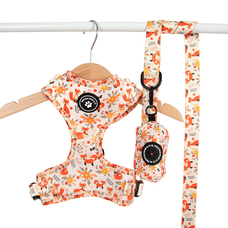 dog harness set with orange foxes