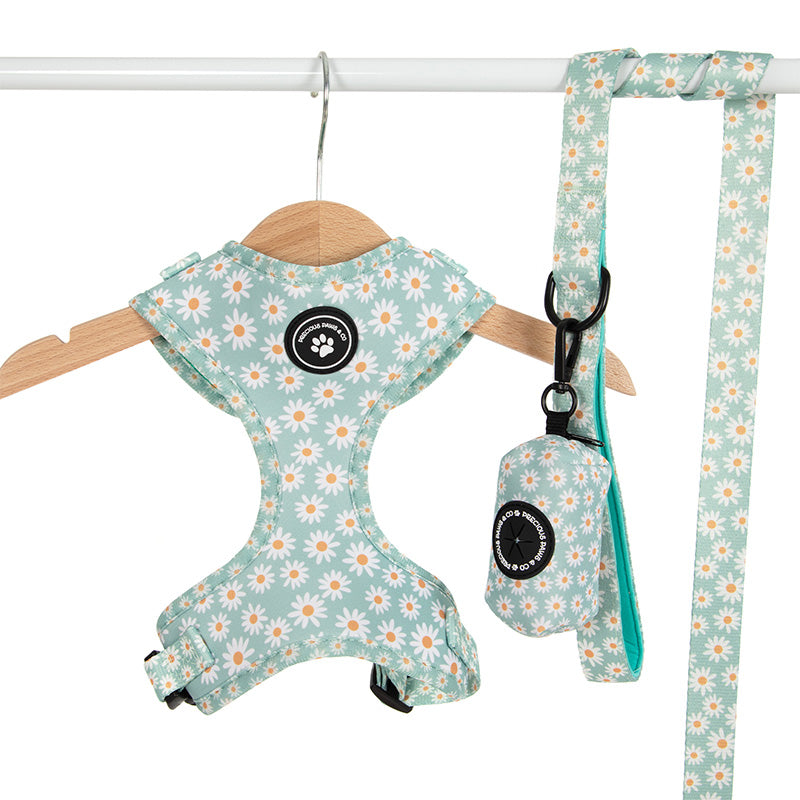 dog harness and lead set with daisies
