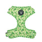 dog harness with green dinosaurs