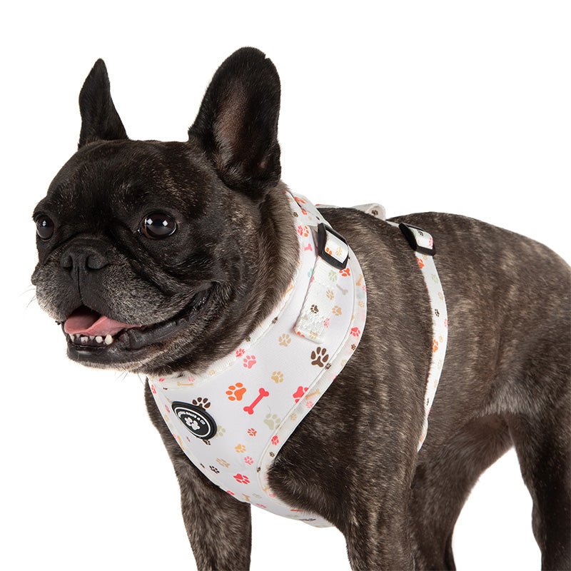 dog in paw print dog harness