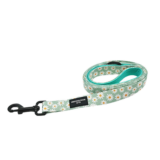 dog lead with daisies