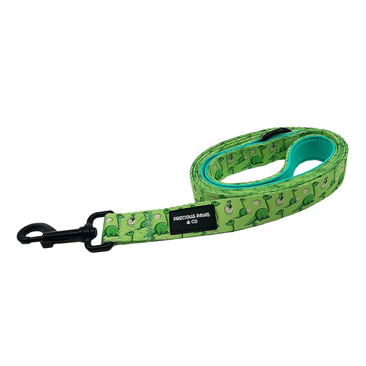 dog lead with green dinosaurs