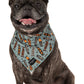 dog wearing blue dog bandana with skateboards