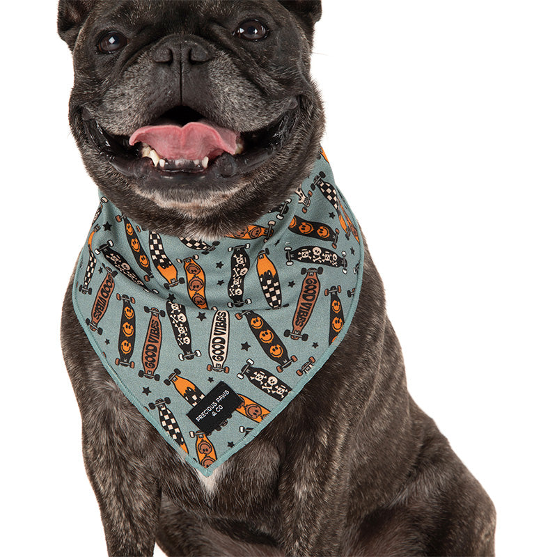 dog wearing blue dog bandana with skateboards