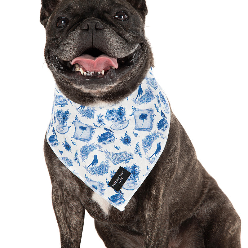 dog wearing bluebird dog bandana
